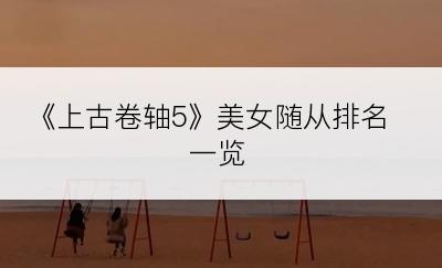 《上古卷轴5》美女随从排名一览