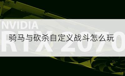 骑马与砍杀自定义战斗怎么玩