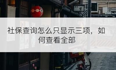 社保查询怎么只显示三项，如何查看全部