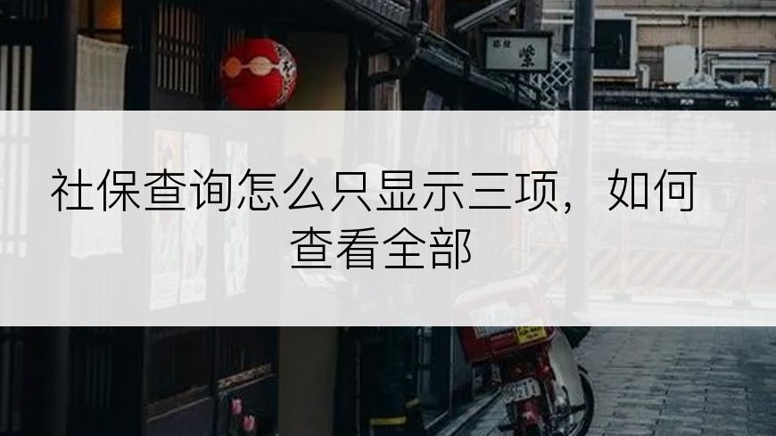 社保查询怎么只显示三项，如何查看全部