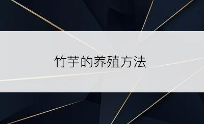 竹芋的养殖方法