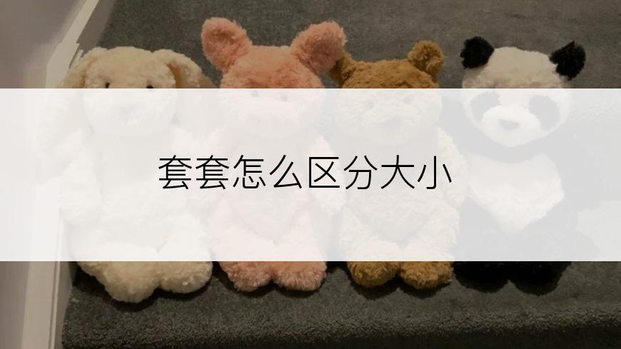 套套怎么区分大小