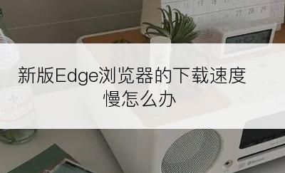 新版Edge浏览器的下载速度慢怎么办