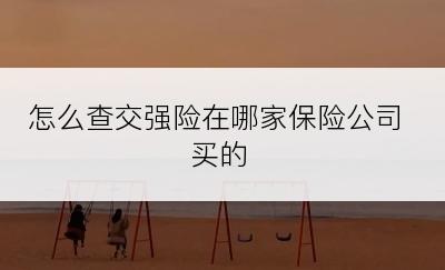 怎么查交强险在哪家保险公司买的