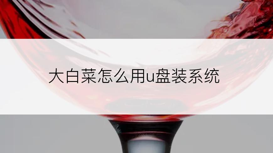 大白菜怎么用u盘装系统