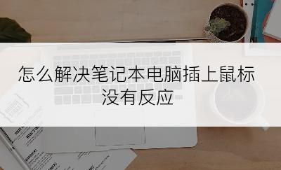 怎么解决笔记本电脑插上鼠标没有反应