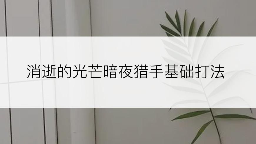 消逝的光芒暗夜猎手基础打法