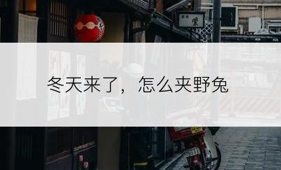 冬天来了，怎么夹野兔