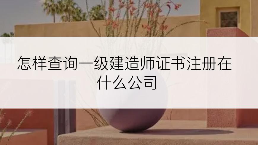 怎样查询一级建造师证书注册在什么公司