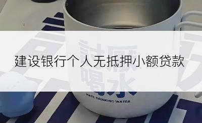 建设银行个人无抵押小额贷款