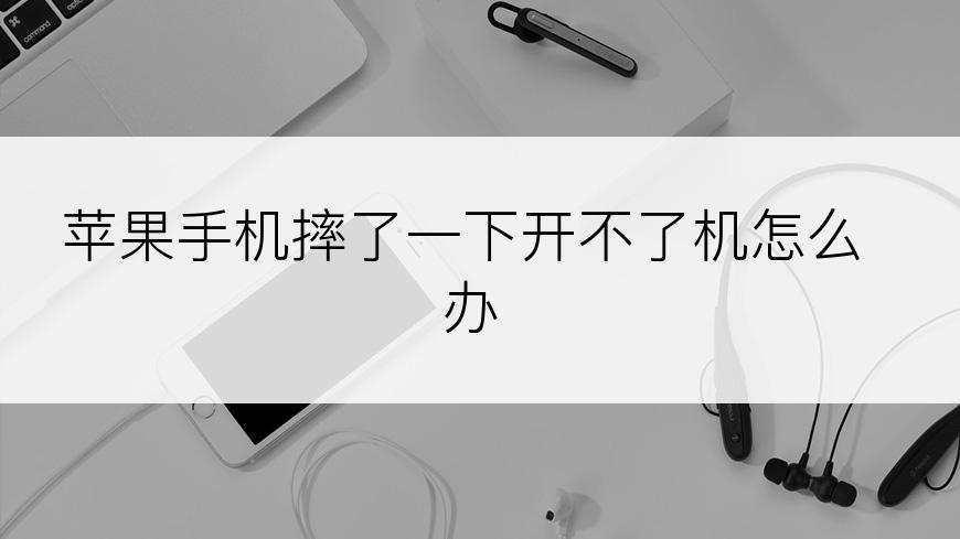 苹果手机摔了一下开不了机怎么办