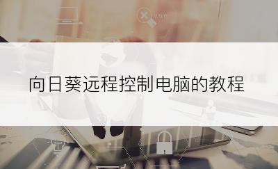 向日葵远程控制电脑的教程