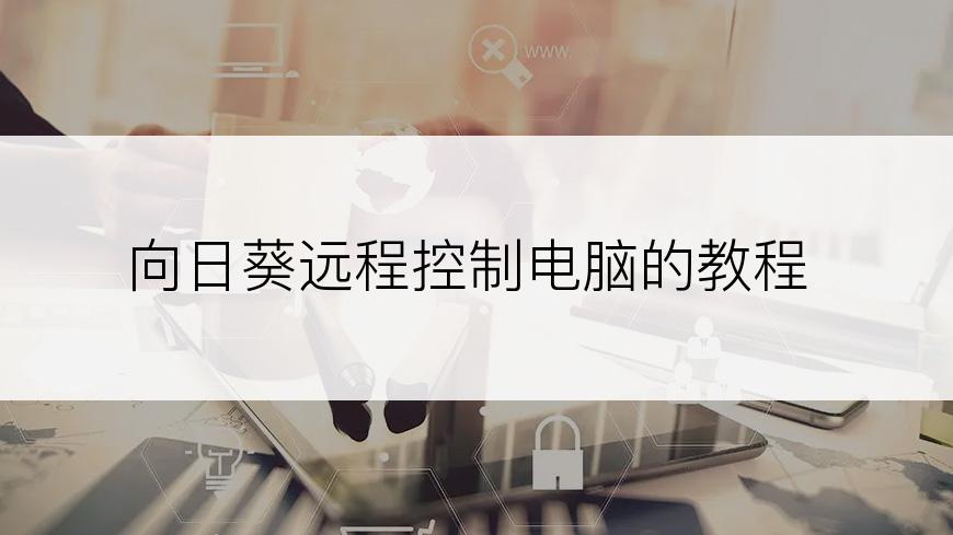 向日葵远程控制电脑的教程