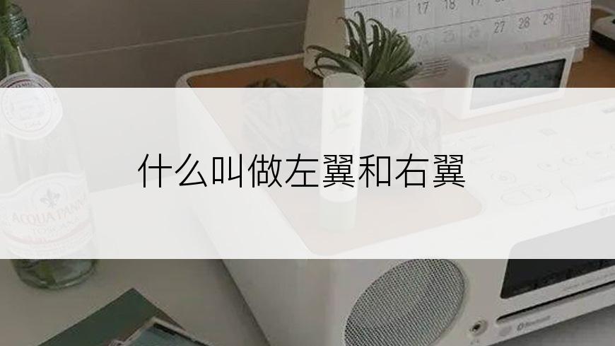 什么叫做左翼和右翼