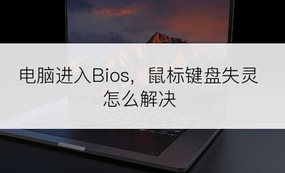 电脑进入Bios，鼠标键盘失灵怎么解决