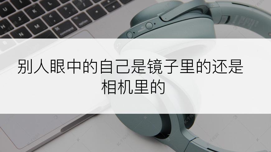 别人眼中的自己是镜子里的还是相机里的