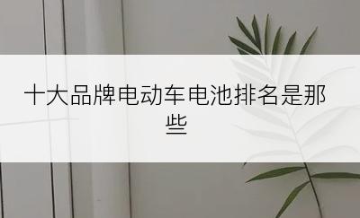 十大品牌电动车电池排名是那些