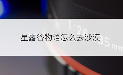 星露谷物语怎么去沙漠