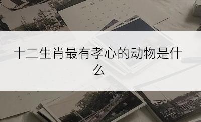 十二生肖最有孝心的动物是什么