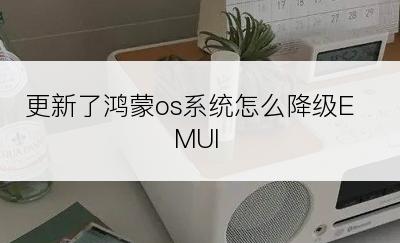 更新了鸿蒙os系统怎么降级EMUI