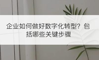 企业如何做好数字化转型？包括哪些关键步骤