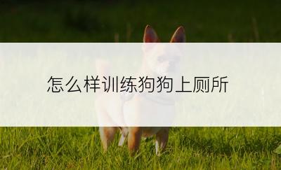 怎么样训练狗狗上厕所