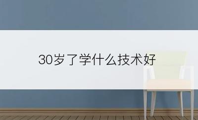 30岁了学什么技术好