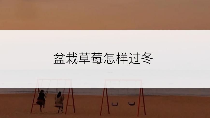 盆栽草莓怎样过冬