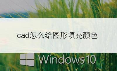 cad怎么给图形填充颜色