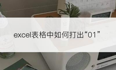 excel表格中如何打出“01”