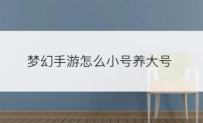 梦幻手游怎么小号养大号