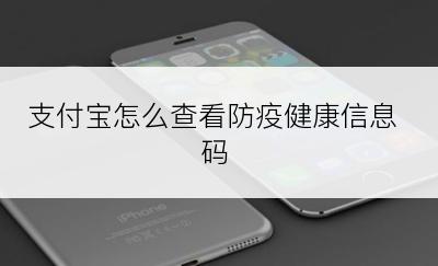 支付宝怎么查看防疫健康信息码