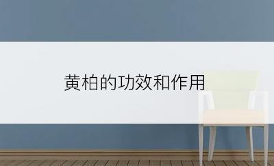 黄柏的功效和作用