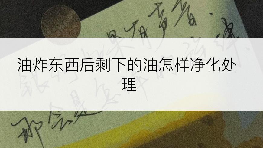 油炸东西后剩下的油怎样净化处理