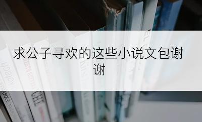 求公子寻欢的这些小说文包谢谢