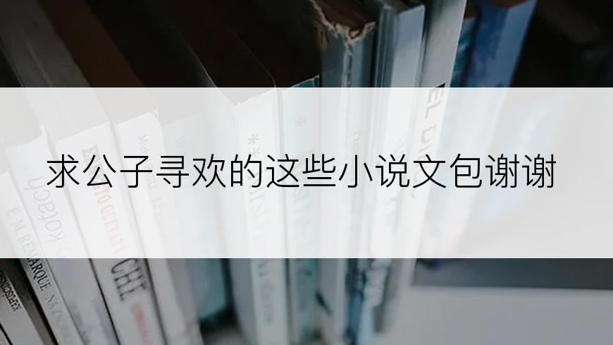 求公子寻欢的这些小说文包谢谢