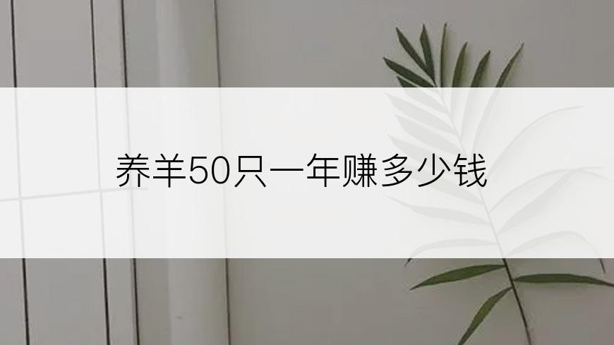 养羊50只一年赚多少钱