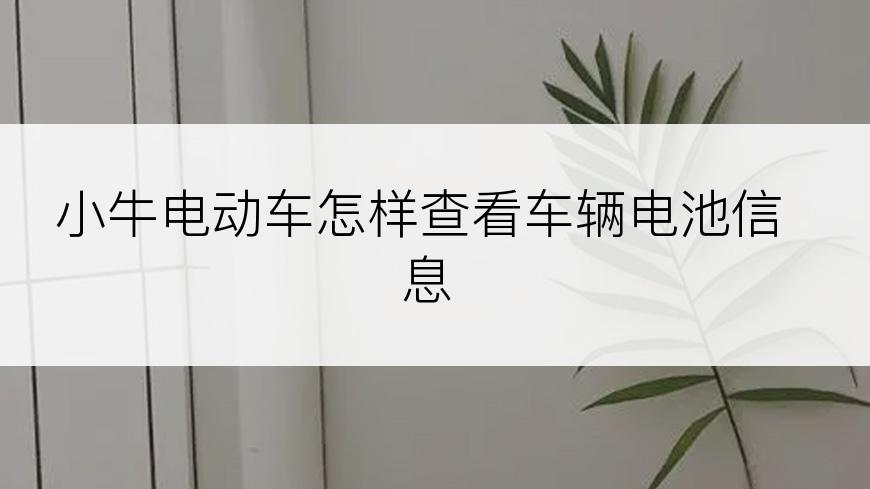 小牛电动车怎样查看车辆电池信息