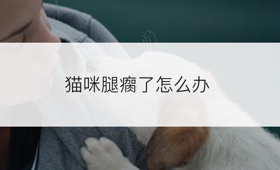 猫咪腿瘸了怎么办