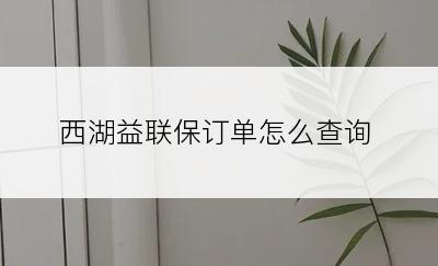 西湖益联保订单怎么查询