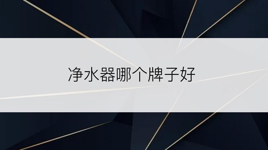 净水器哪个牌子好