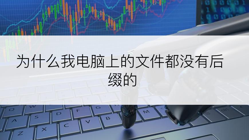 为什么我电脑上的文件都没有后缀的