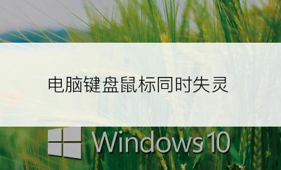 电脑键盘鼠标同时失灵