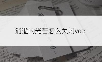 消逝的光芒怎么关闭vac