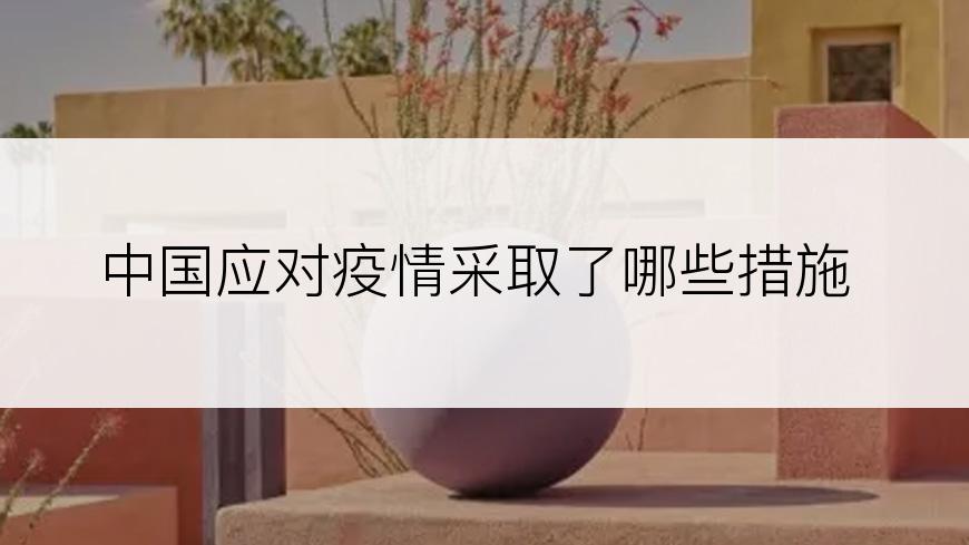 中国应对疫情采取了哪些措施