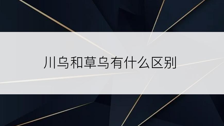 川乌和草乌有什么区别