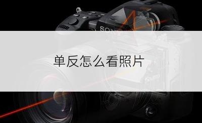 单反怎么看照片
