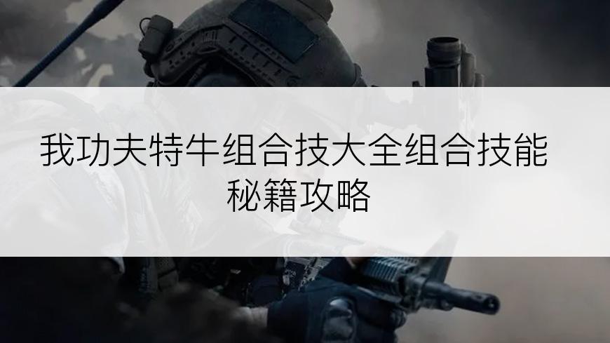 我功夫特牛组合技大全组合技能秘籍攻略