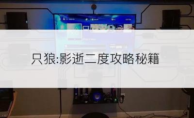 只狼:影逝二度攻略秘籍