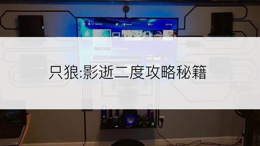 只狼:影逝二度攻略秘籍
